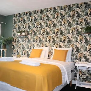 Bed & Breakfast Bed&Breakfast Hotel Zandvoort, Zandvoort